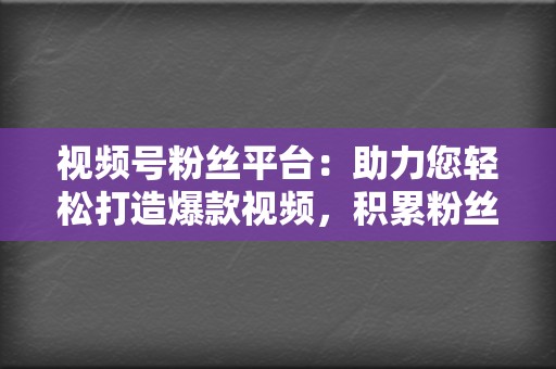 视频号粉丝平台：助力您轻松打造爆款视频，积累粉丝  第2张