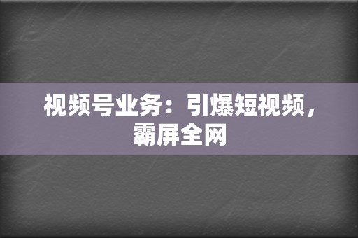 视频号业务：引爆短视频，霸屏全网