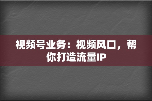 视频号业务：视频风口，帮你打造流量IP