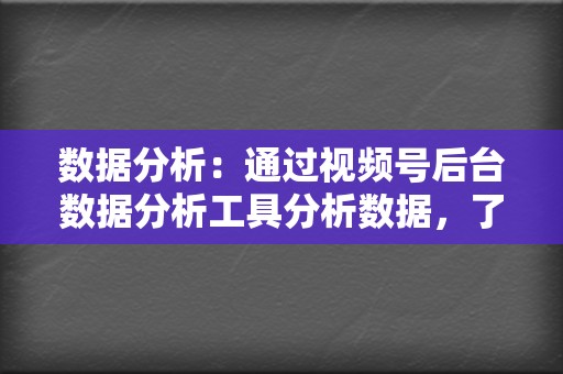 数据分析：通过视频号后台数据分析工具分析数据，了解视频号的运营效果，不断优化运营策略