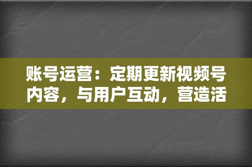 账号运营：定期更新视频号内容，与用户互动，营造活跃的社区氛围。