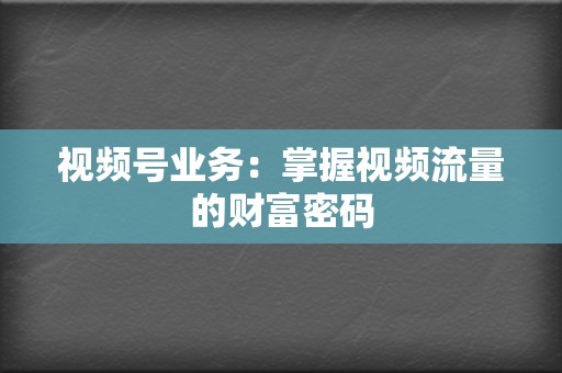 视频号业务：掌握视频流量的财富密码  第2张