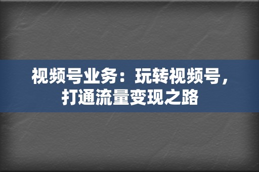 视频号业务：玩转视频号，打通流量变现之路  第2张