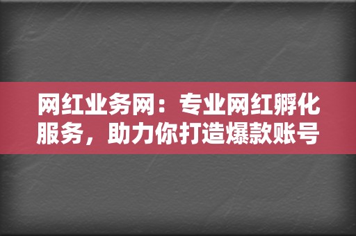 网红业务网：专业网红孵化服务，助力你打造爆款账号  第2张