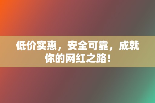 低价实惠，安全可靠，成就你的网红之路！