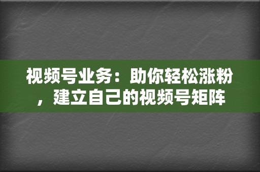 视频号业务：助你轻松涨粉，建立自己的视频号矩阵