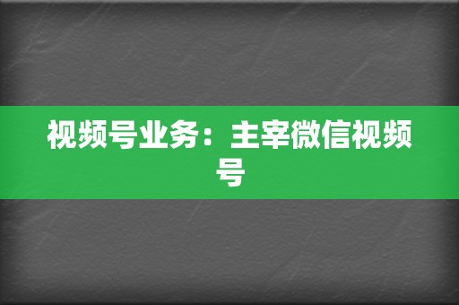 视频号业务：主宰微信视频号