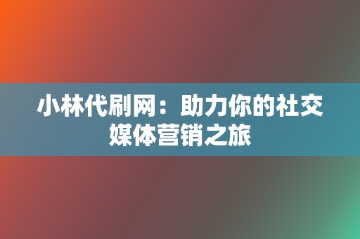 小林代刷网：助力你的社交媒体营销之旅  第2张