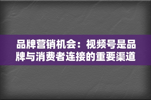 品牌营销机会：视频号是品牌与消费者连接的重要渠道，通过短视频、直播等方式，品牌可以有效提升品牌影响力和产品销量。