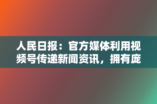 人民日报：官方媒体利用视频号传递新闻资讯，拥有庞大的粉丝群。