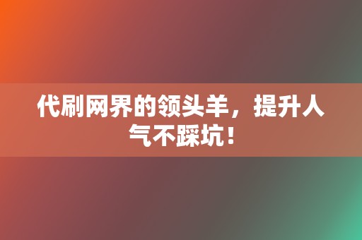 代刷网界的领头羊，提升人气不踩坑！  第2张