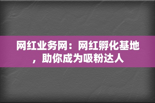 网红业务网：网红孵化基地，助你成为吸粉达人