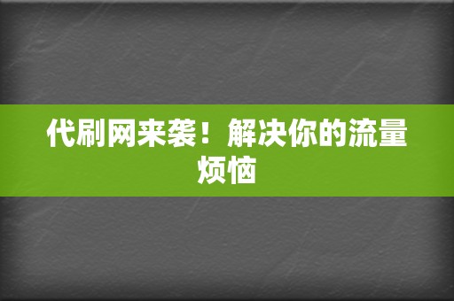 代刷网来袭！解决你的流量烦恼