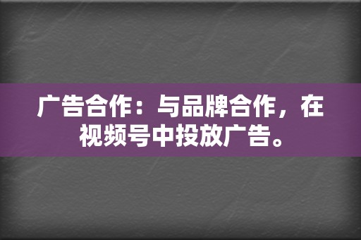 广告合作：与品牌合作，在视频号中投放广告。