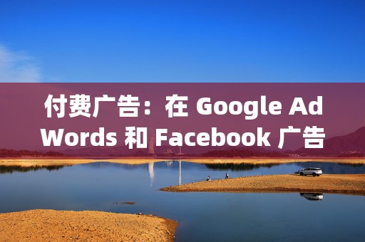 付费广告：在 Google AdWords 和 Facebook 广告等平台上运行付费广告活动，以接触更广泛的受众。