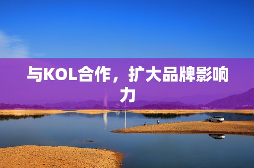 与KOL合作，扩大品牌影响力