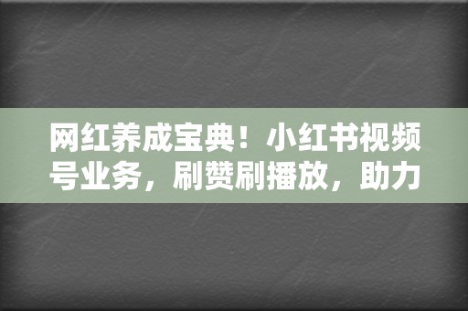 网红养成宝典！小红书视频号业务，刷赞刷播放，助力你成为网络明星