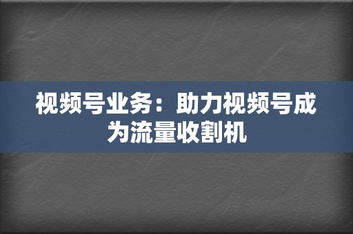 视频号业务：助力视频号成为流量收割机  第2张