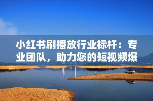 小红书刷播放行业标杆：专业团队，助力您的短视频爆火！