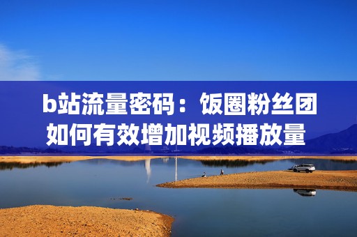 b站流量密码：饭圈粉丝团如何有效增加视频播放量 (b站流量密码每天百万播放量)