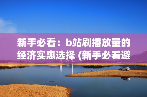 新手必看：b站刷播放量的经济实惠选择 (新手必看避坑指南)