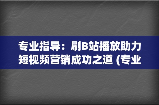 专业指导：刷B站播放助力短视频营销成功之道 (专业带刷)