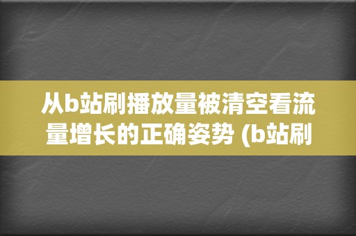 从b站刷播放量被清空看流量增长的正确姿势 (b站刷观看)