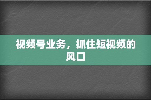 视频号业务，抓住短视频的风口